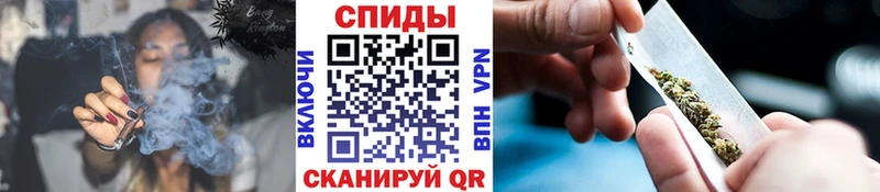 как найти   Сосенский  БУТИРАТ BDO 33% 